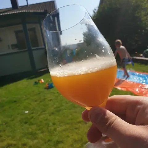 Mango DIPA image